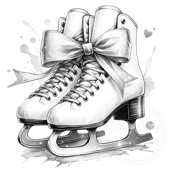 21.01.2012 - Podkrušnohorský pohár Bílina