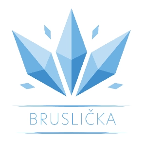 Projekt bruslička